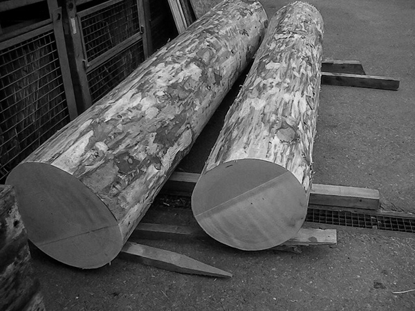 Vorbereitete Holzstämme für das Projekt Cremia, Atelier Ivan Beer